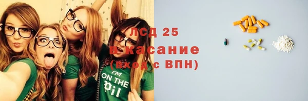 стафф Верея