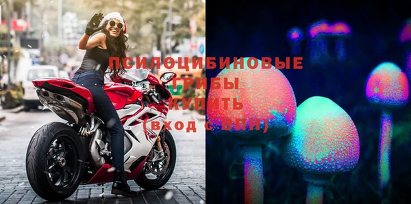 шишки Верхнеуральск
