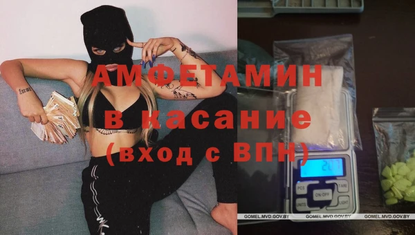 стафф Верея