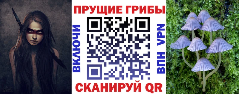Купить  Ливны  Галлюциногенные грибы ЛСД 